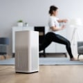 Do Home Air Ionizers Really Work? A Comprehensive Guide