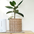 What is the Difference Between Ionic and HEPA Air Purifiers? A Comprehensive Guide